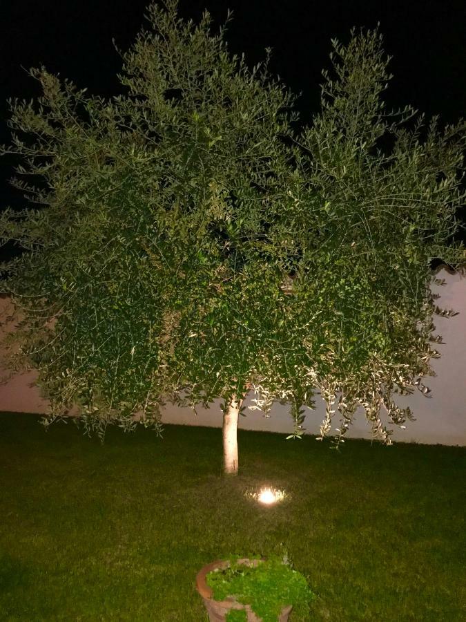 Apartmán Puntizela-Patty Pula Exteriér fotografie